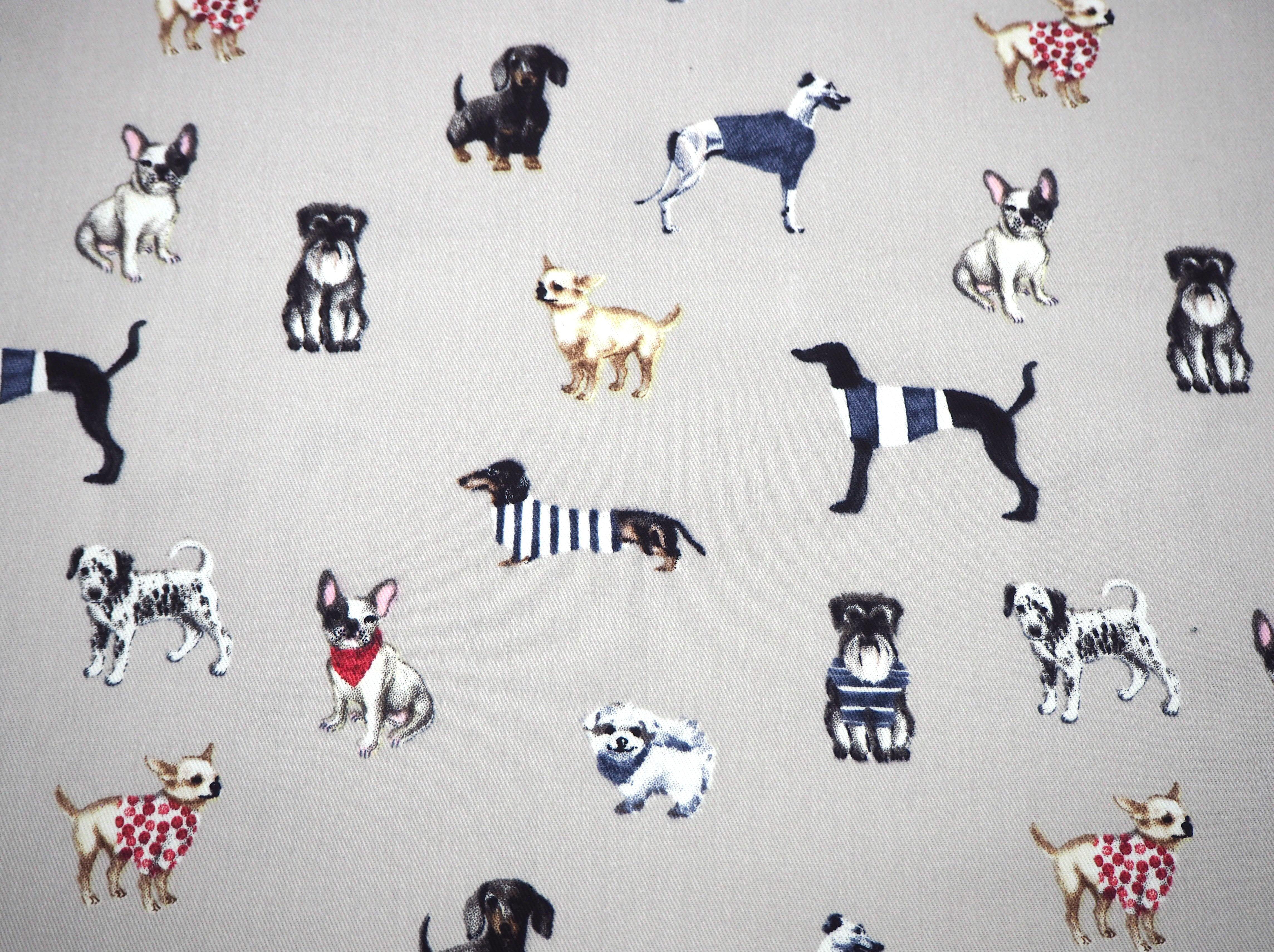 An assortment of Pampered Party Dogs wearing cute Jackets, 100% cotton fabric